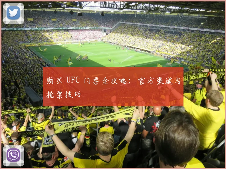 购买 UFC 门票全攻略：官方渠道与抢票技巧